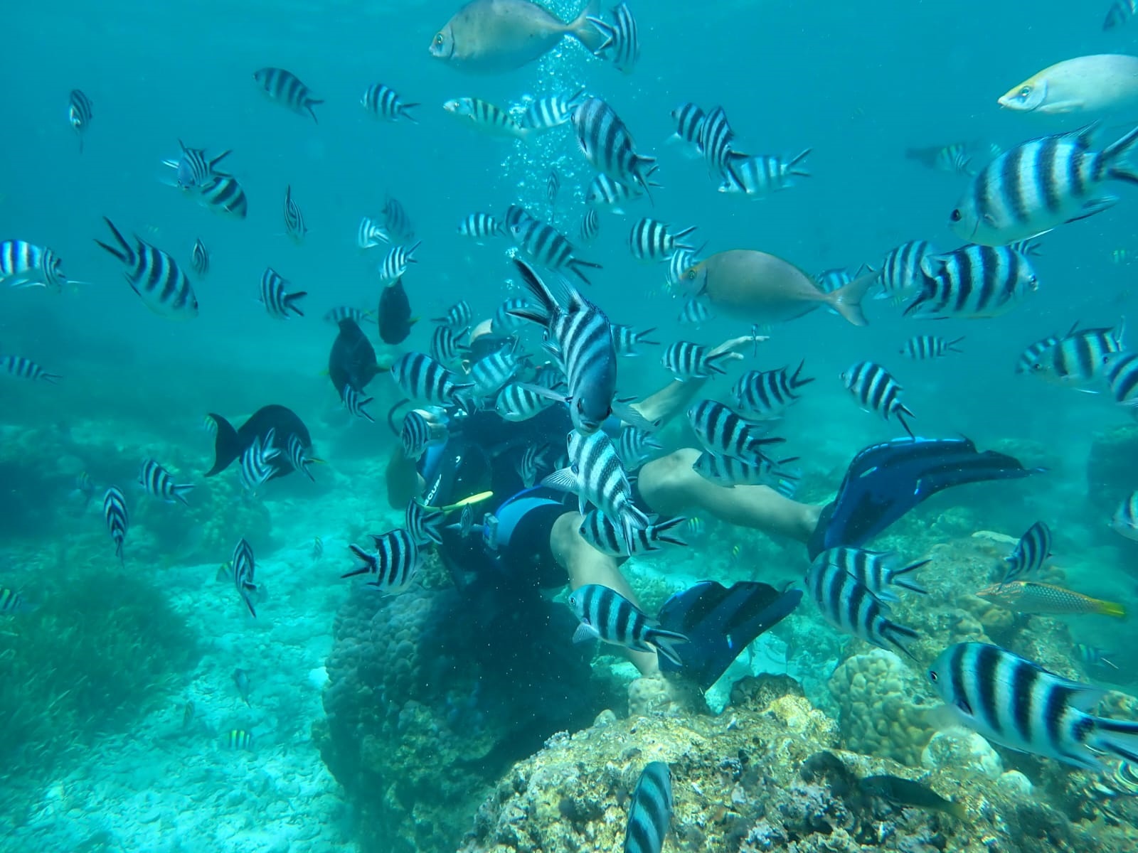 BABSY DIVING TEAM beach photo 4